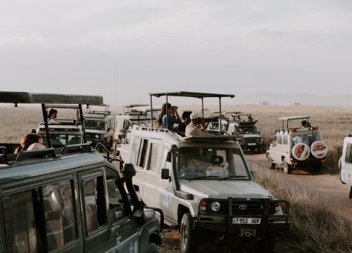 3 Days Masai Mara Budget Safari